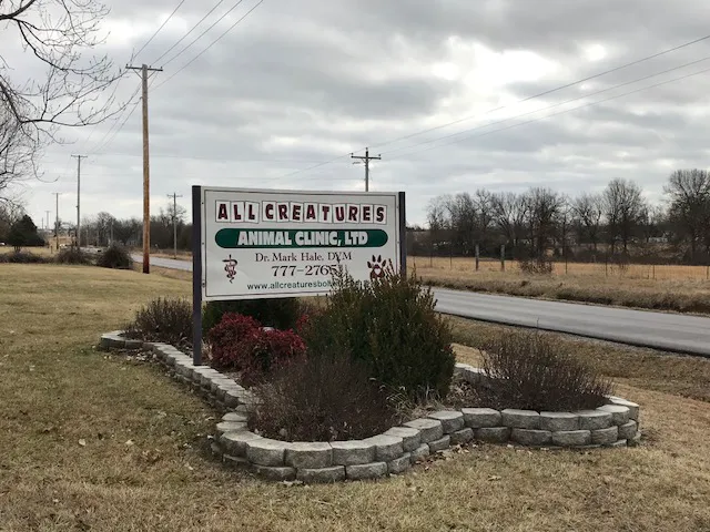 All Creatures Animal Clinic Picture 8