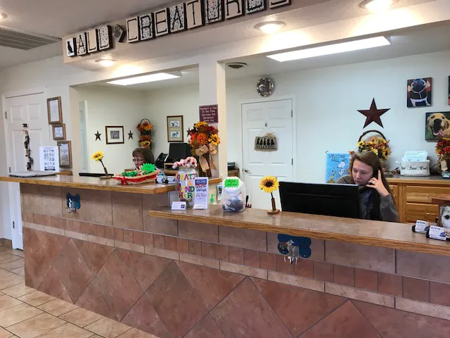 All Creatures Animal Clinic Picture 5