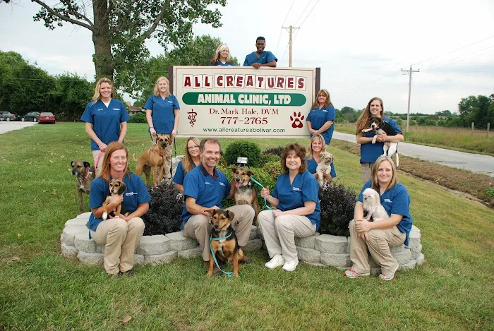All Creatures Animal Clinic Picture 9