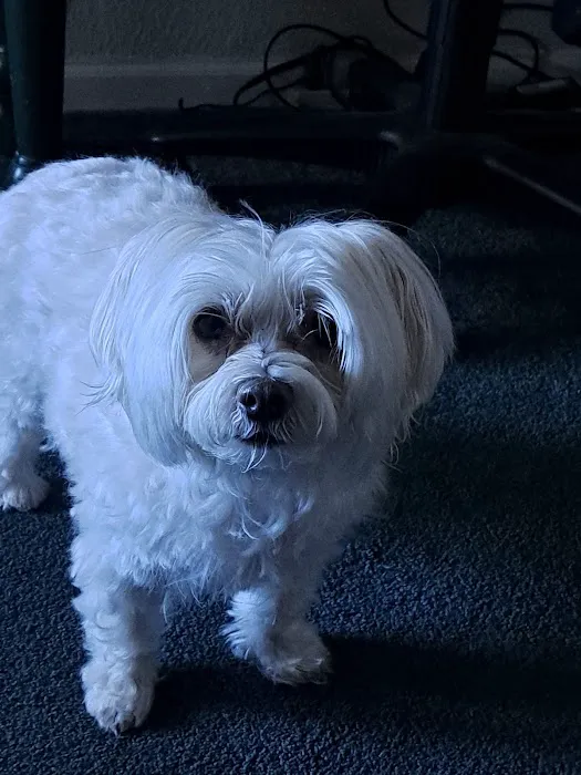 All Creatures Animal Clinic: Mark Hale, DVM Picture 4