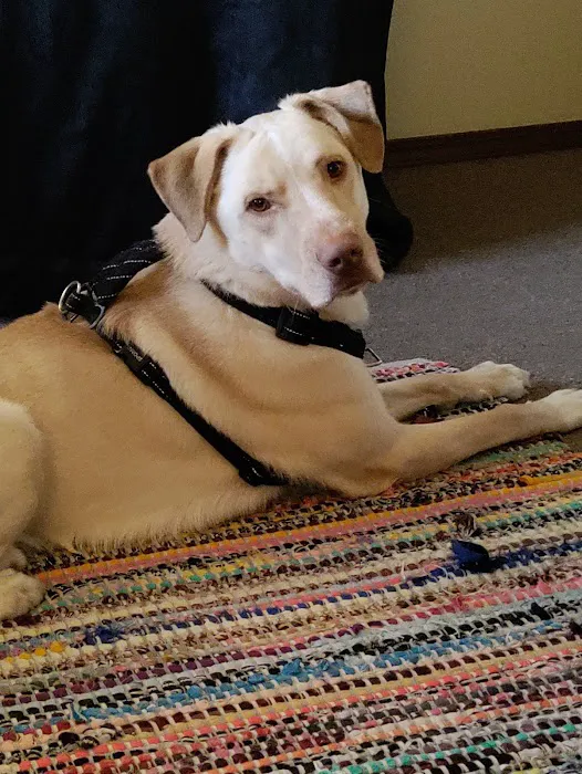 All Creatures Animal Clinic: Mark Hale, DVM Picture 2