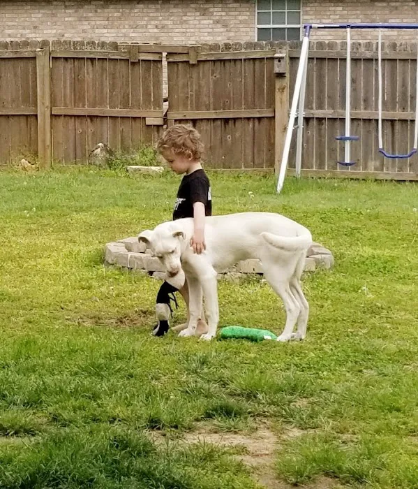 All Creatures Animal Clinic: Mark Hale, DVM Picture 3