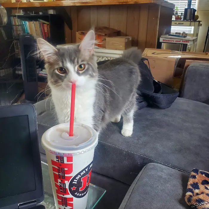 All Creatures Animal Clinic: Mark Hale, DVM Picture 5