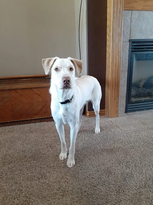 All Creatures Animal Clinic: Mark Hale, DVM Picture 6