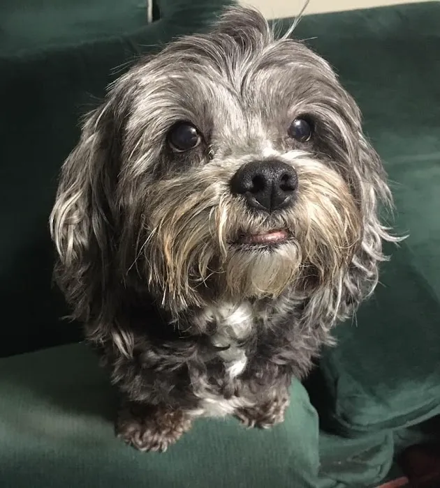 All Creatures Animal Clinic: Mark Hale, DVM Picture 8