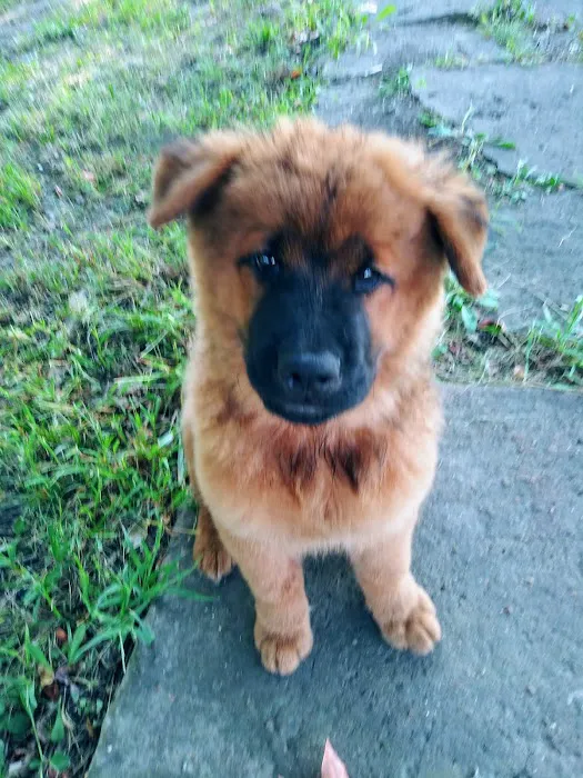 All Creatures Animal Clinic: Mark Hale, DVM Picture 10
