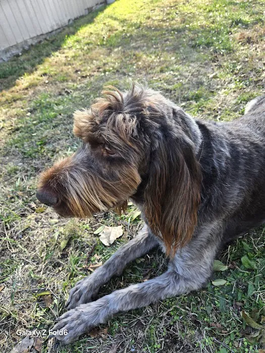 Animal Care Clinic of Bolivar Picture 1