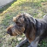 Animal Care Clinic of Bolivar