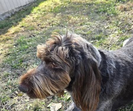 Animal Care Clinic of Bolivar