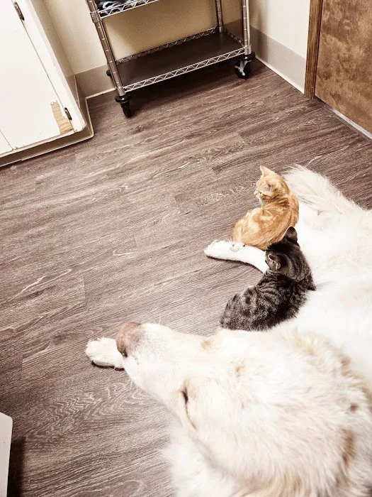 Animal Care Clinic of Bolivar Picture 2