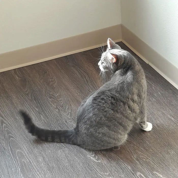 Animal Care Clinic of Bolivar Picture 8