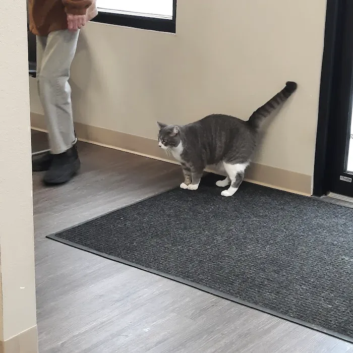 Animal Care Clinic of Bolivar Picture 5