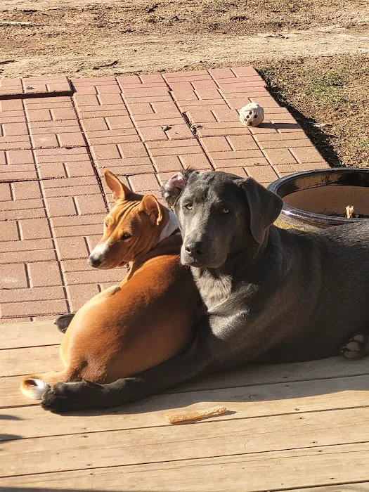 Fair Grove Veterinary Service Picture 3