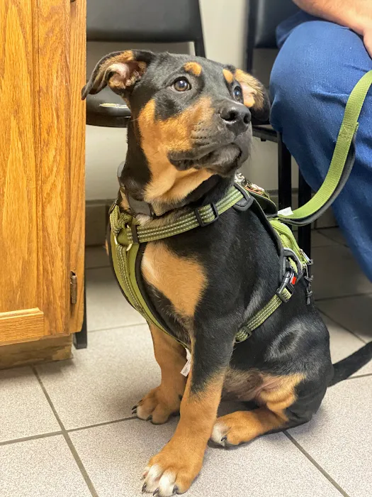 Fair Grove Veterinary Service Picture 10