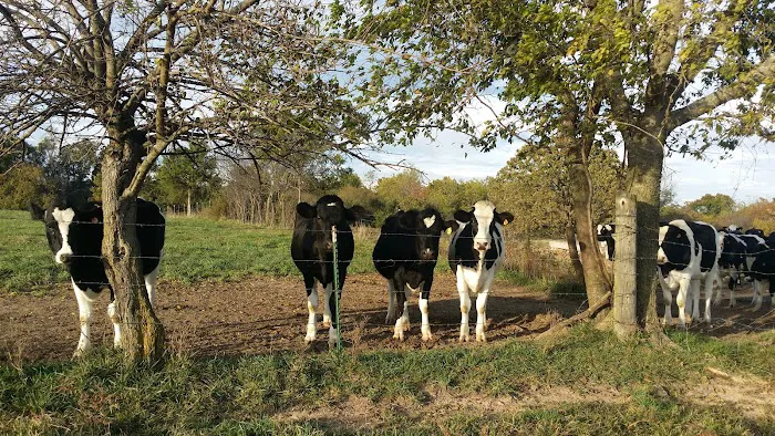 Marshfield Veterinary Clinic Picture 1