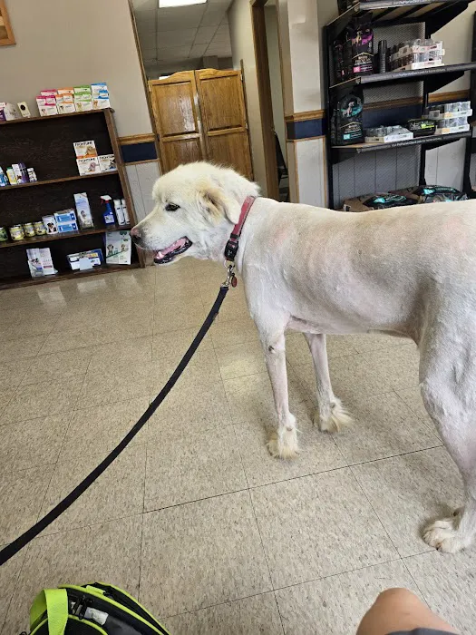 Marshfield Veterinary Clinic Picture 4