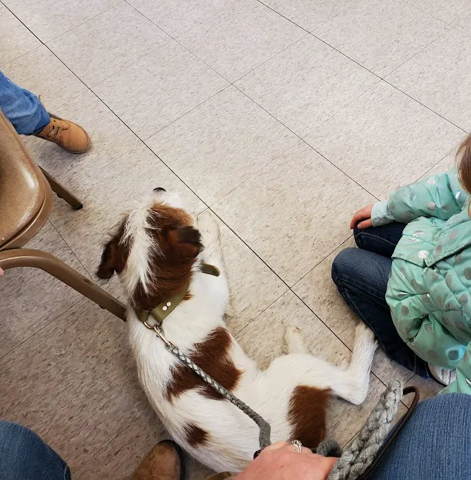 Marshfield Veterinary Clinic Picture 3