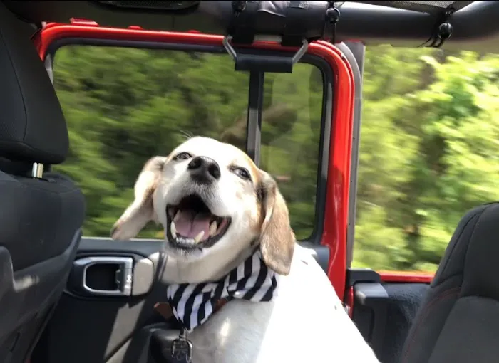 Marshfield Veterinary Clinic Picture 7