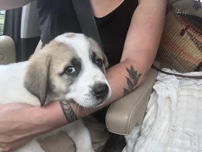 Marshfield Veterinary Clinic Picture 8