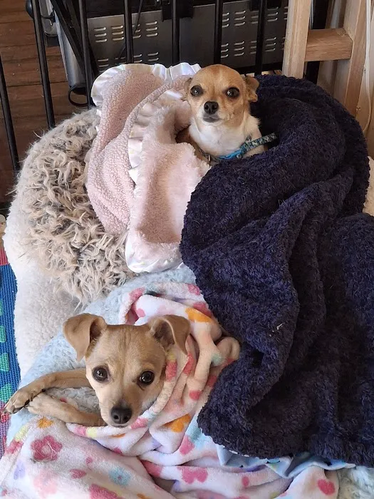 Marshfield Veterinary Clinic Picture 9