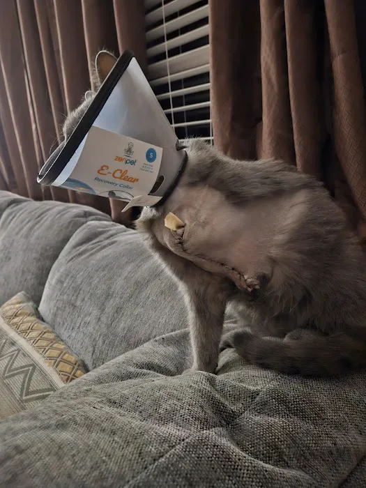 Marshfield Veterinary Clinic Picture 6