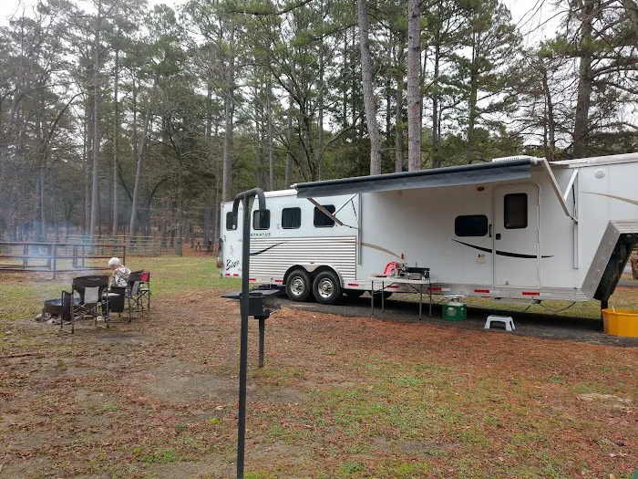 Cole Equine Picture 1