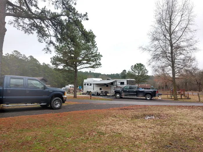 Cole Equine Picture 2