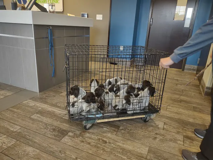 Strafford Veterinary Clinic Picture 3