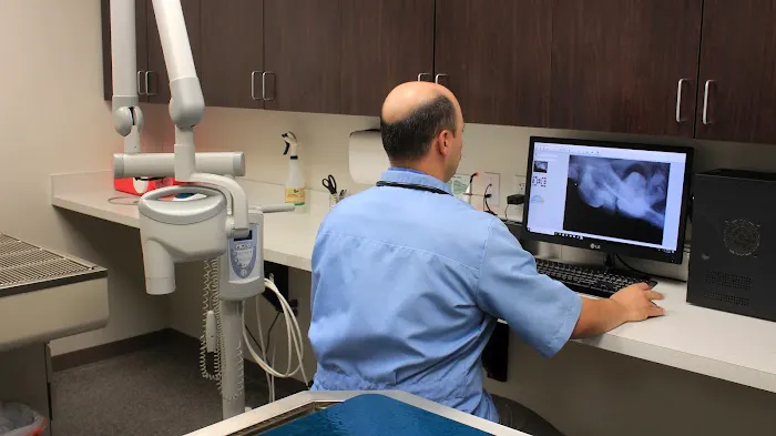 Strafford Veterinary Clinic Picture 2