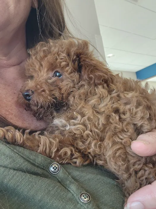 Strafford Veterinary Clinic Picture 4