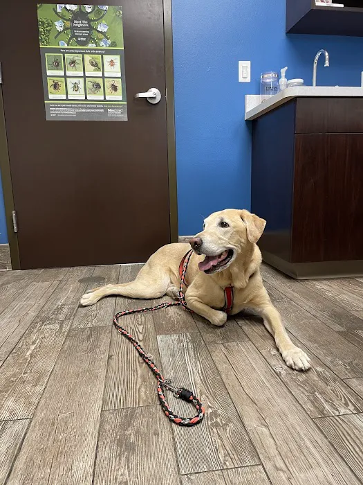 Strafford Veterinary Clinic Picture 7