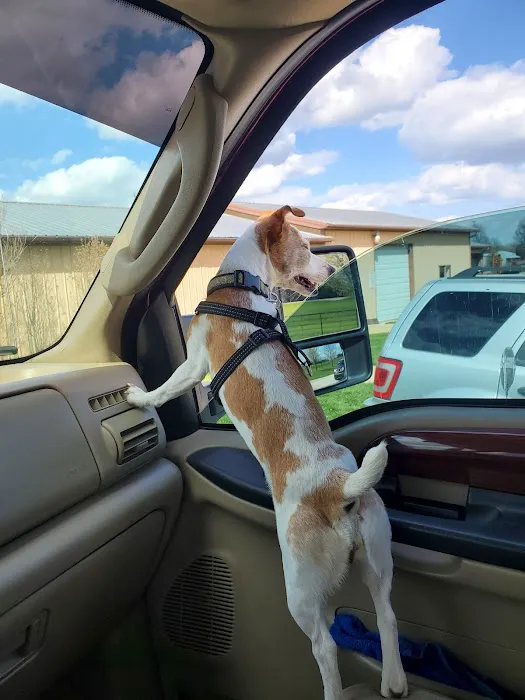 Marshfield Veterinary Clinic Picture 2