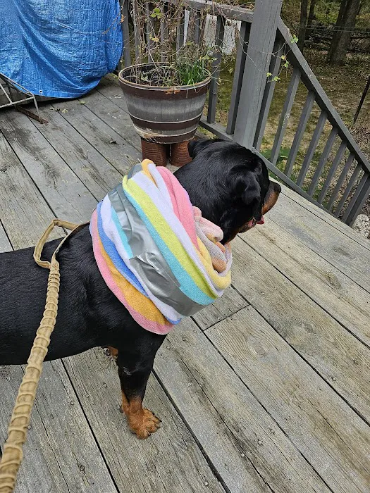 Marshfield Veterinary Clinic Picture 3