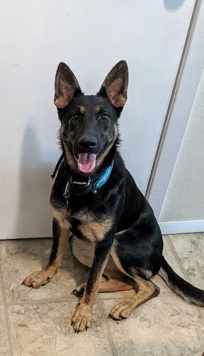 Marshfield Veterinary Clinic Picture 1