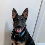 Marshfield Veterinary Clinic