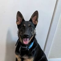 Marshfield Veterinary Clinic ico