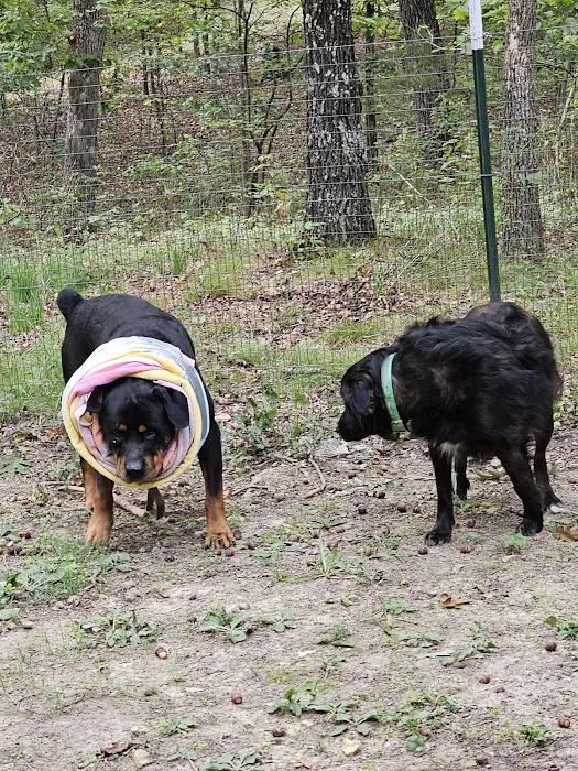 Marshfield Veterinary Clinic Picture 4