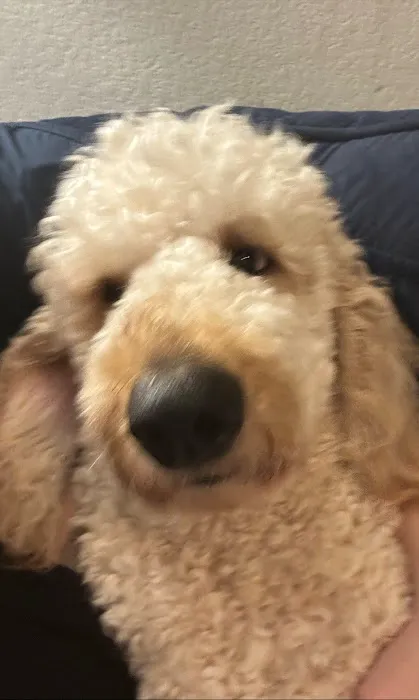 Marshfield Veterinary Clinic Picture 6