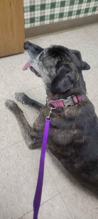 Marshfield Veterinary Clinic Picture 5