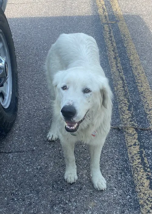 Marshfield Veterinary Clinic Picture 7