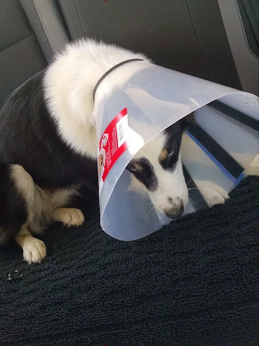 Marshfield Veterinary Clinic Picture 8