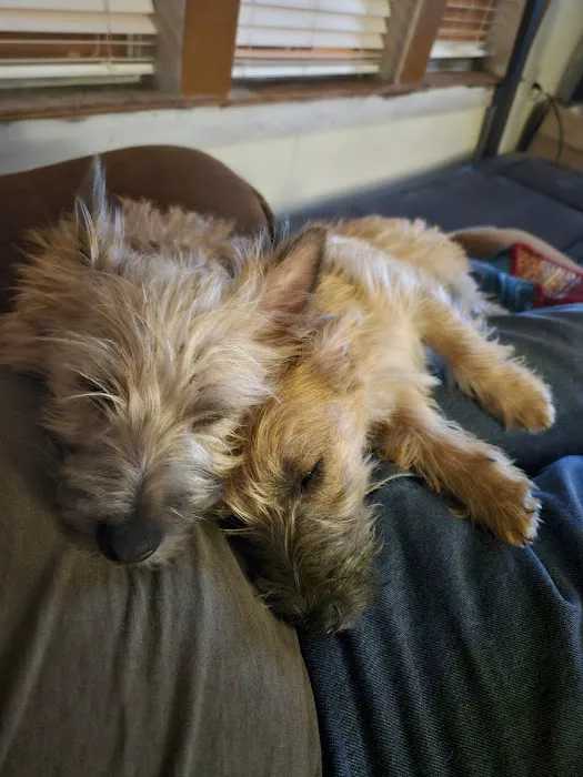 Marshfield Veterinary Clinic Picture 10