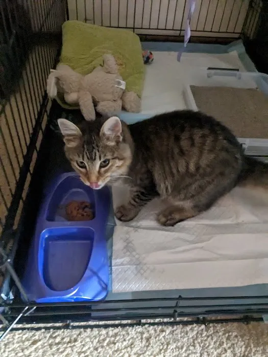 Tender Heart Animal Clinic Picture 2