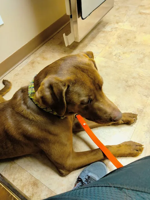 Tender Heart Animal Clinic Picture 1