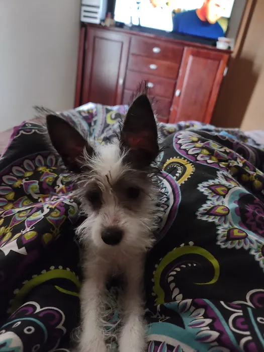 Tender Heart Animal Clinic Picture 9