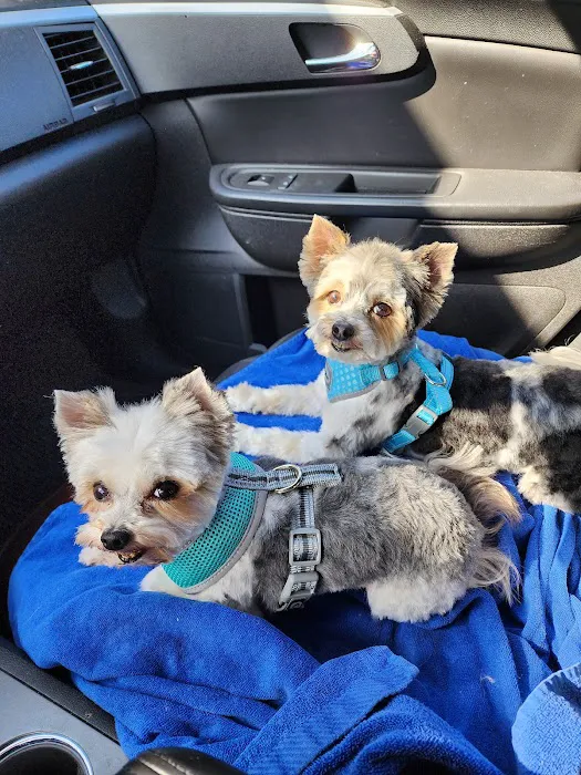 Tender Heart Animal Clinic Picture 10