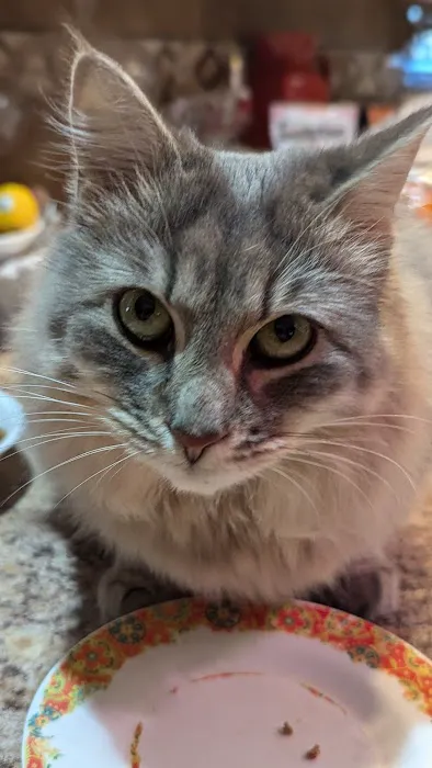 Eastside Veterinary Service Picture 3