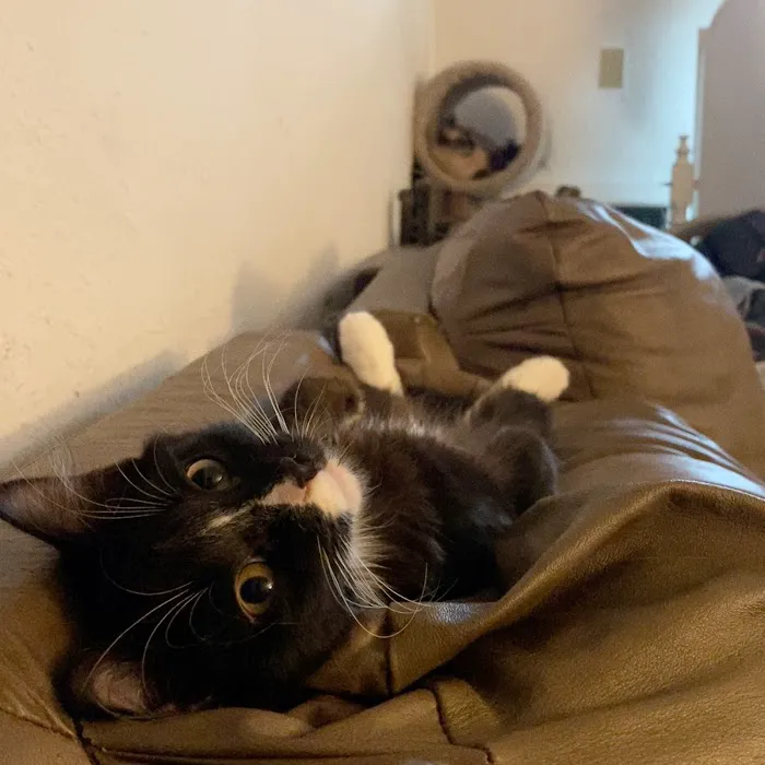 Spragg Veterinary Clinic Picture 1