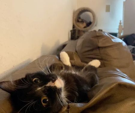 Spragg Veterinary Clinic