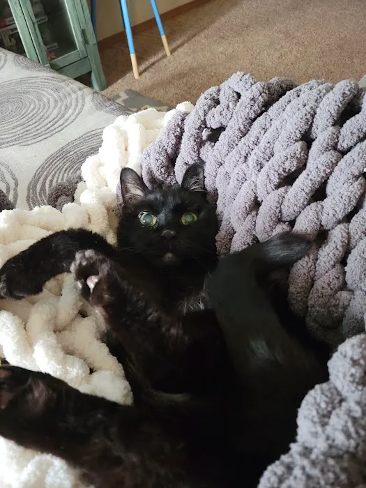 Spragg Veterinary Clinic Picture 2